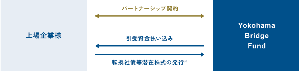 スキーム図